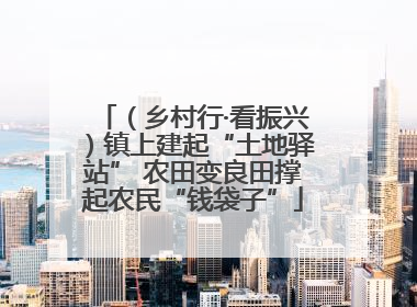 （乡村行·看振兴）镇上建起“土地驿站” 农田变良田撑起农民“钱袋子”