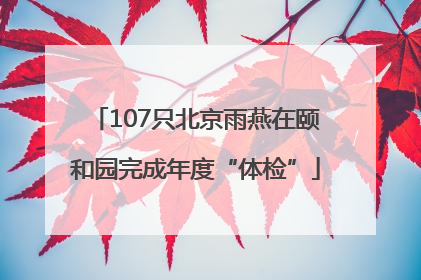 107只北京雨燕在颐和园完成年度“体检”