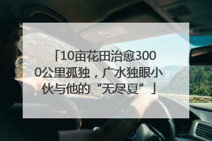 10亩花田治愈3000公里孤独，广水独眼小伙与他的“无尽夏”