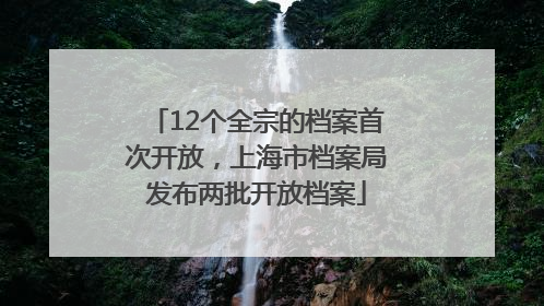 12个全宗的档案首次开放，上海市档案局发布两批开放档案