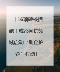 16项硬核措施！成都网信领域启动“助企护企”行动