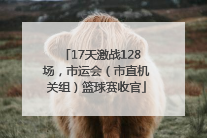 17天激战128场，市运会（市直机关组）篮球赛收官