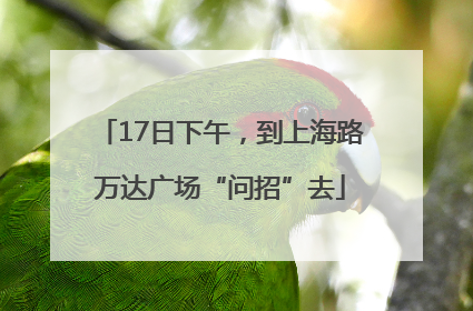 17日下午，到上海路万达广场“问招”去