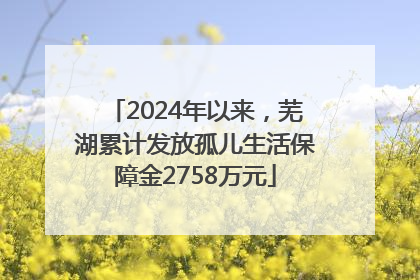 2024年以来，芜湖累计发放孤儿生活保障金2758万元