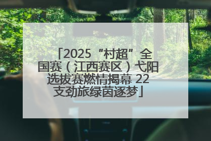 2025“村超”全国赛（江西赛区）弋阳选拔赛燃情揭幕 22支劲旅绿茵逐梦