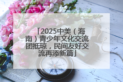 2025中美（海南）青少年文化交流团抵琼，民间友好交流再添新篇