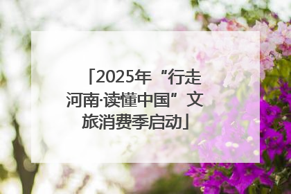 2025年“行走河南·读懂中国”文旅消费季启动