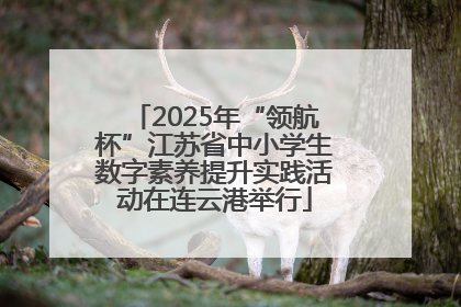 2025年“领航杯”江苏省中小学生数字素养提升实践活动在连云港举行