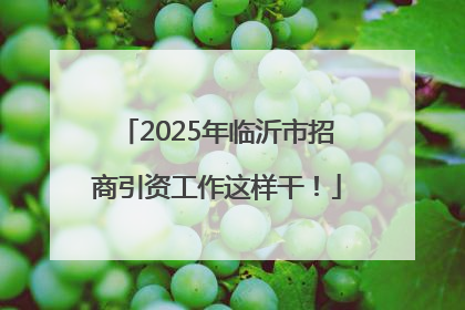 2025年临沂市招商引资工作这样干！