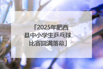 2025年肥西县中小学生乒乓球比赛圆满落幕