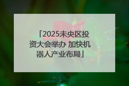 2025未央区投资大会举办 加快机器人产业布局