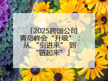 2025跨国公司青岛峰会“升级”：从 “引进来” 到 “链起来”