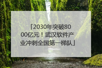 2030年突破8000亿元！武汉软件产业冲刺全国第一梯队