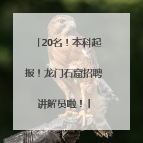 20名！本科起报！龙门石窟招聘讲解员啦！