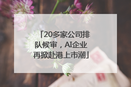 20多家公司排队候审，AI企业再掀赴港上市潮