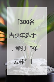 300名青少年选手，拳打“祥云杯”