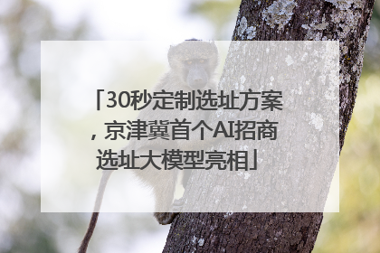30秒定制选址方案，京津冀首个AI招商选址大模型亮相