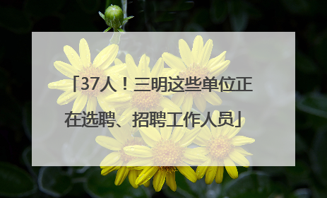 37人！三明这些单位正在选聘、招聘工作人员