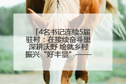 4名书记连续5届驻村：在接续奋斗里深耕沃野 绘就乡村振兴“好丰景”——浦发银行南京分行助力脱贫攻坚、帮促乡村振兴记事（二）