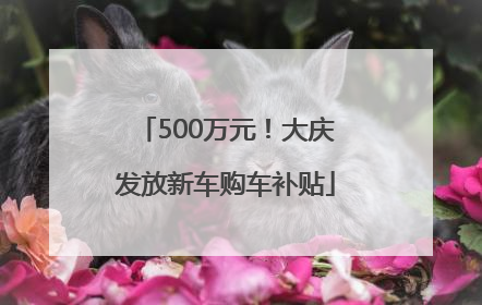 500万元！大庆发放新车购车补贴