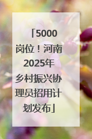 5000岗位！河南2025年乡村振兴协理员招用计划发布