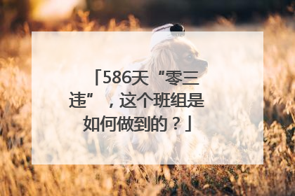 586天“零三违”，这个班组是如何做到的？