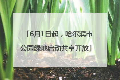 6月1日起，哈尔滨市公园绿地启动共享开放