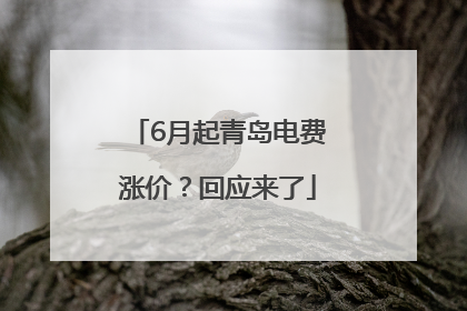 6月起青岛电费涨价？回应来了