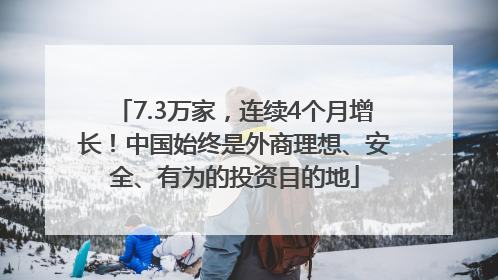 7.3万家，连续4个月增长！中国始终是外商理想、安全、有为的投资目的地