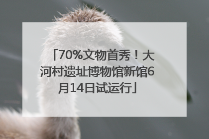 70%文物首秀！大河村遗址博物馆新馆6月14日试运行