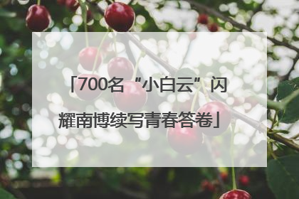 700名“小白云”闪耀南博续写青春答卷
