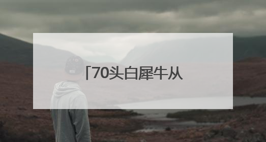 70头白犀牛从南非运抵卢旺达