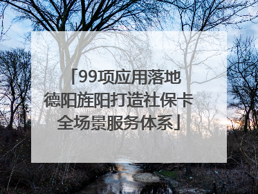 99项应用落地 德阳旌阳打造社保卡全场景服务体系