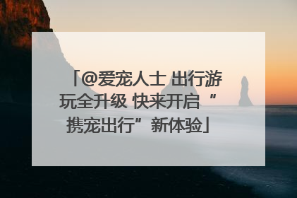 @爱宠人士 出行游玩全升级 快来开启“携宠出行”新体验