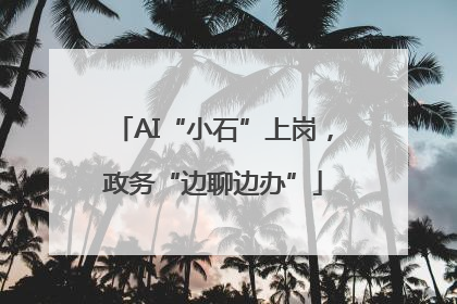 AI“小石”上岗，政务“边聊边办”
