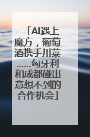 AI遇上魔方，葡萄酒携手川菜……匈牙利和成都碰出意想不到的合作机会