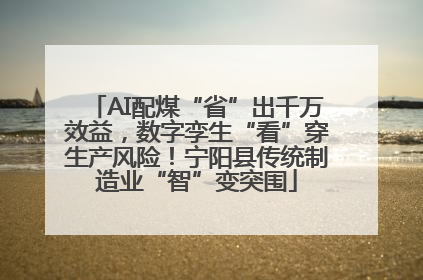 AI配煤“省”出千万效益，数字孪生“看”穿生产风险！宁阳县传统制造业“智”变突围