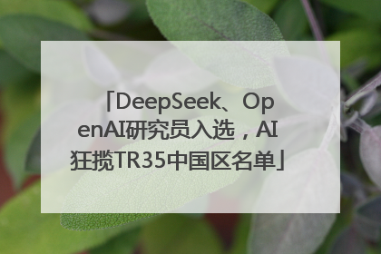 DeepSeek、OpenAI研究员入选，AI狂揽TR35中国区名单