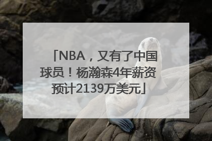 NBA，又有了中国球员！杨瀚森4年薪资预计2139万美元